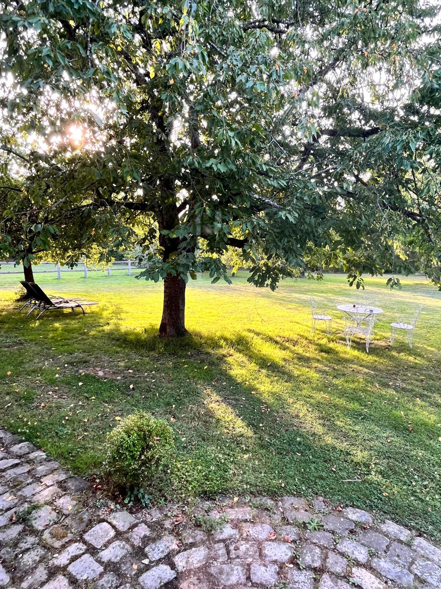 La Vieille Bouverie Savennieres Dış mekan fotoğraf